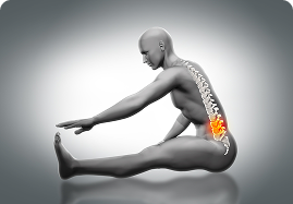 Mind Body Wellness